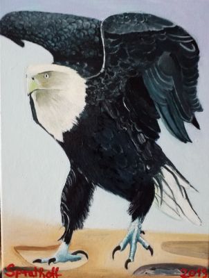 Der Adler