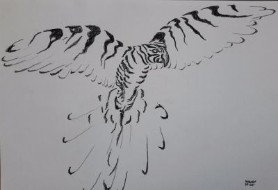 Zebrapagei 
