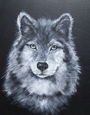 "Isegrimm"