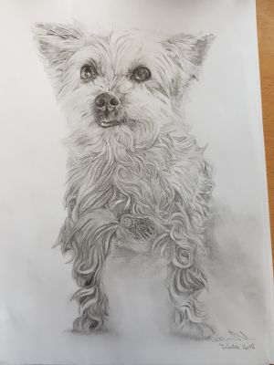 Frieda