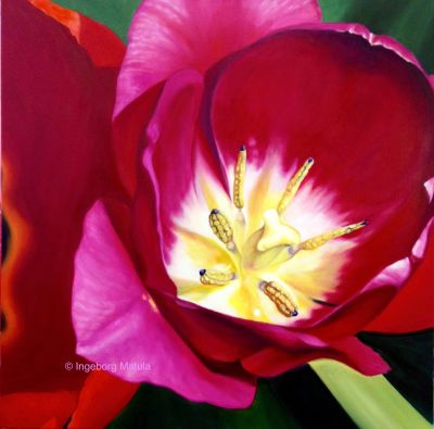 Tulpenerotik II