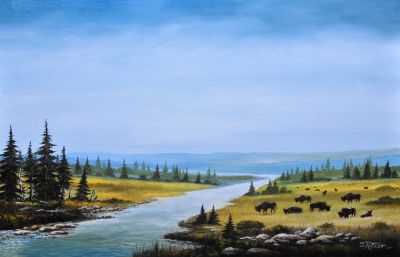 bueffel-am-yellowstone