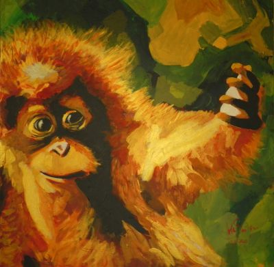 Memories Of Bukit Lawang