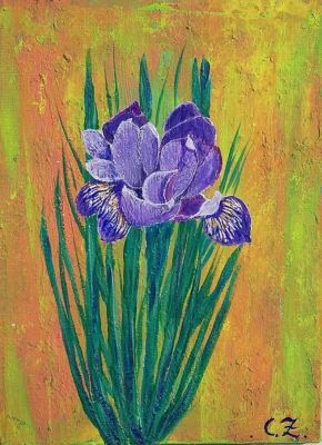 IRIS