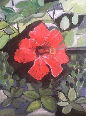 Hibiscus Blüte