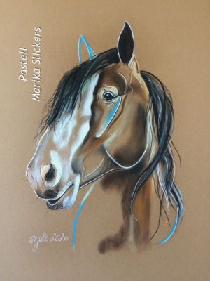 Clydesdalehorse, Kaltblut