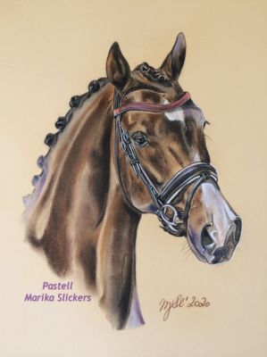 connemara-pony3