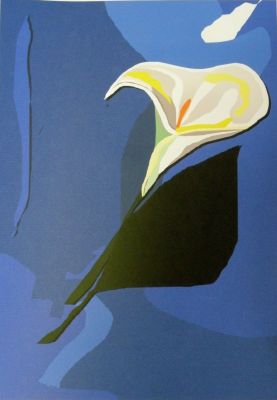 weisse-calla8