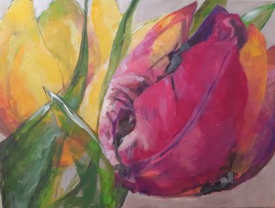 tulpen81