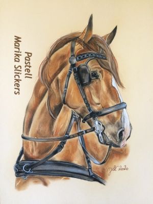 Gelderländer Warmblutpferd, Kutschpferd