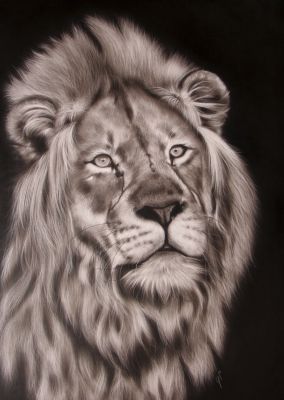 König Leu