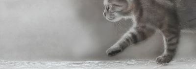Catwalk