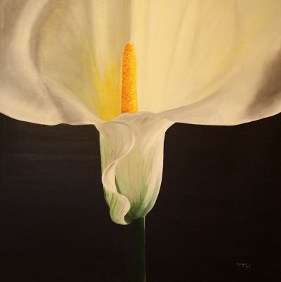 "Calla"