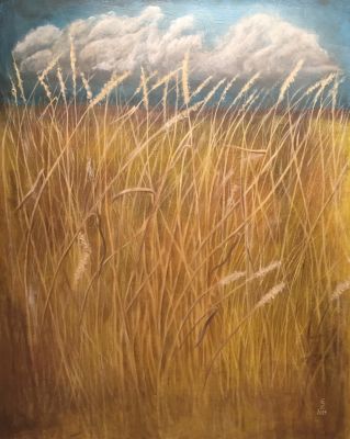graslandschaft