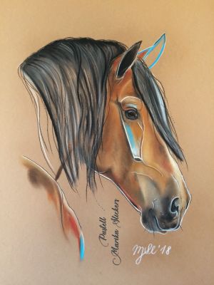 Andalusier Pferd, Pura Raza Española (P.R.E.)