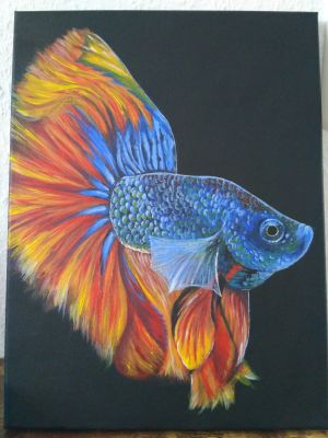 Fisch 
