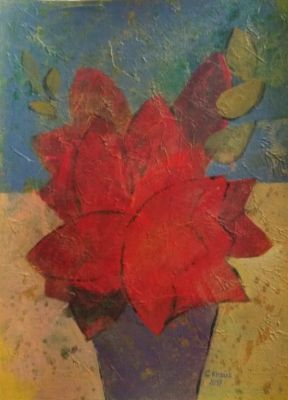 amaryllis