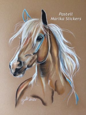 Haflinger Stute