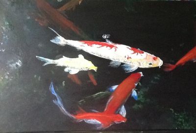 Koi’s