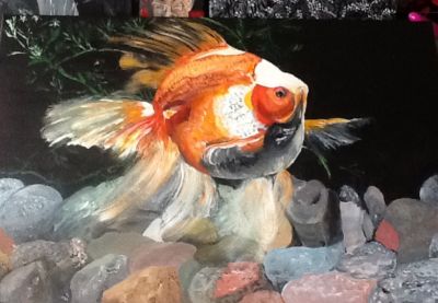 Koi1