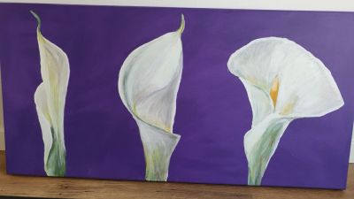 Calla 