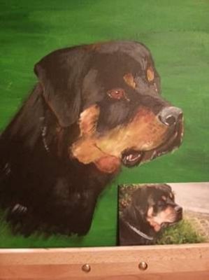 Rottweiler