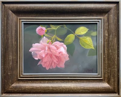 Rambler-Rose