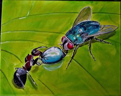 Ameise und Fliege