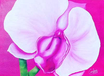 orchidee-20