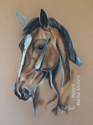 Groninger Paard, Groningerpferd