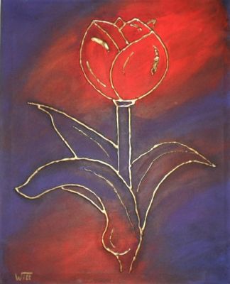 Tulpe