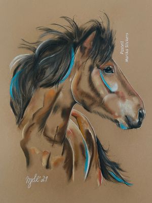 Icelandhorse Isländer