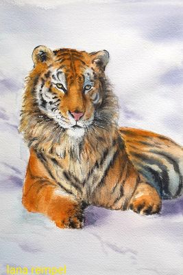sibirischer-tiger2