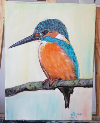 eisvogel-