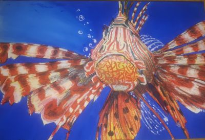 Fischli