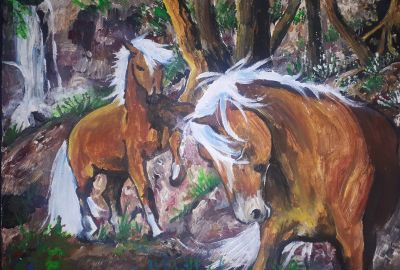 Haflinger 