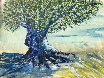 olivenbaum