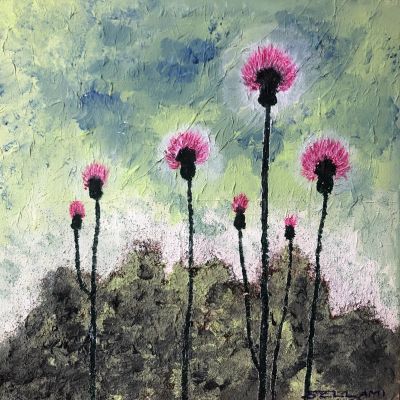 Distel rosa