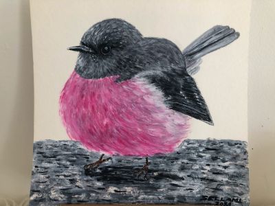 Pink robin