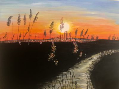 sonnenuntergang-schilf