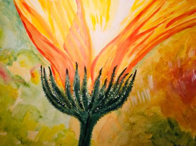 gelbe Blume