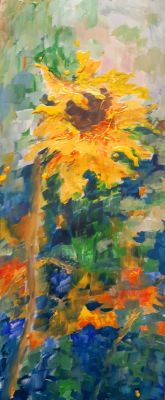 Sonnenblume