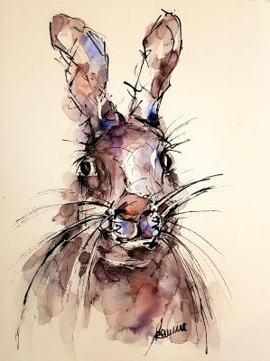 Hase