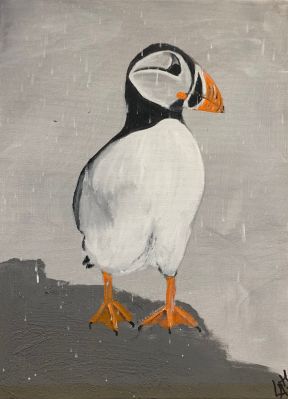 Puffin