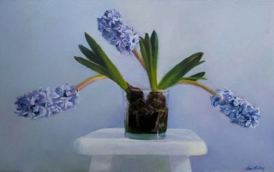blue-hyacinths