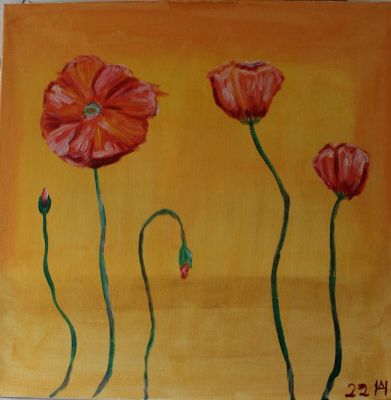 Mohnblumen