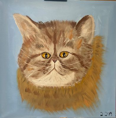 Maggie, die Katze meiner Tochter Anita.