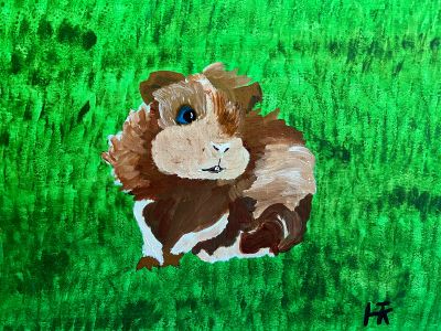 meerschweinchen-auf-der-wiese