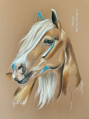 Haflinger Pferd