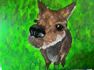 Neugieriges Känguru 